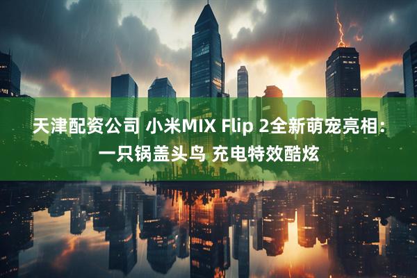 天津配资公司 小米MIX Flip 2全新萌宠亮相：一只锅盖头鸟 充电特效酷炫