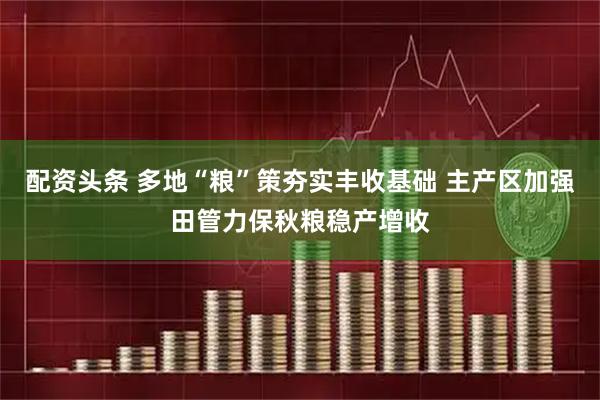 配资头条 多地“粮”策夯实丰收基础 主产区加强田管力保秋粮稳产增收
