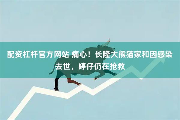 配资杠杆官方网站 痛心！长隆大熊猫家和因感染去世，婷仔仍在抢救